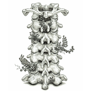 美女自慰撒尿偷拍
